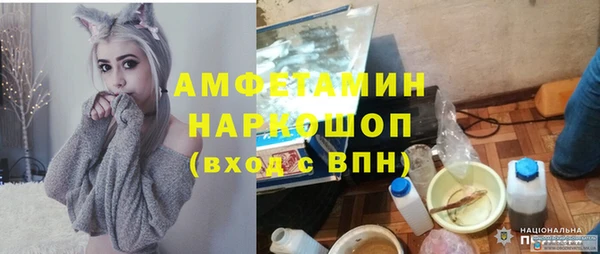 метадон Богданович
