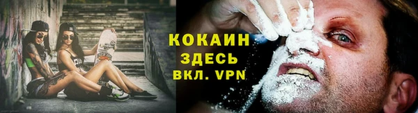 метадон Богданович