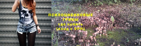 метадон Богданович