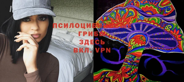 метадон Богданович