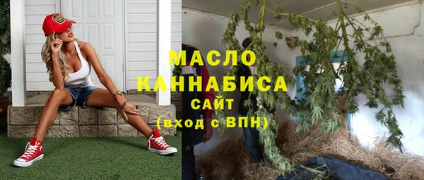 метадон Богданович