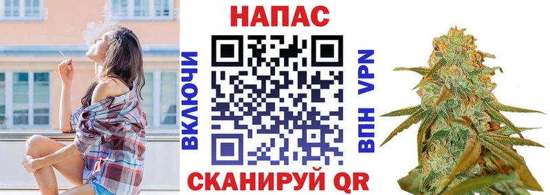 Шишки марихуана Bruce Banner  Купить  Отрадный 